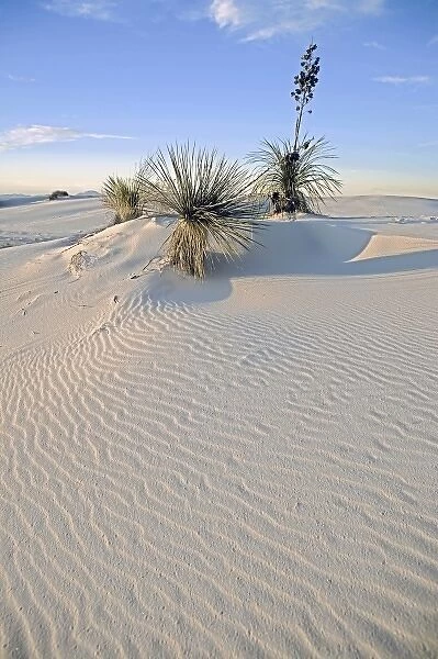 USA, New Mexico, White Sands National Monument situated in the Tularosa Basin of