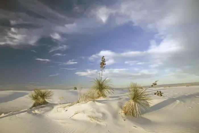Framed Print : USA, New Mexico, White Sands National Monument situated in the Tularosa Basin of