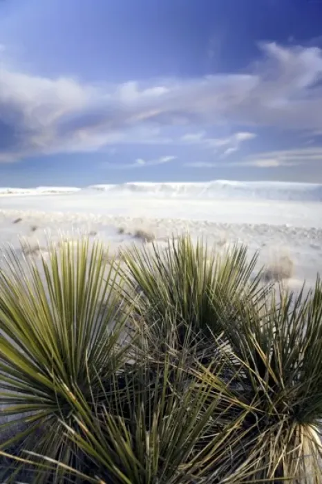 Framed Print : USA, New Mexico, White Sands National Monument situated in the Tularosa Basin of
