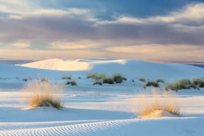 Framed Print : USA, New Mexico, White Sands National Park. Sand dunes and dry grasses at sunrise Framed Print : USA, New Mexico, White Sands National Park. Sand dunes and dry grasses at sunrise