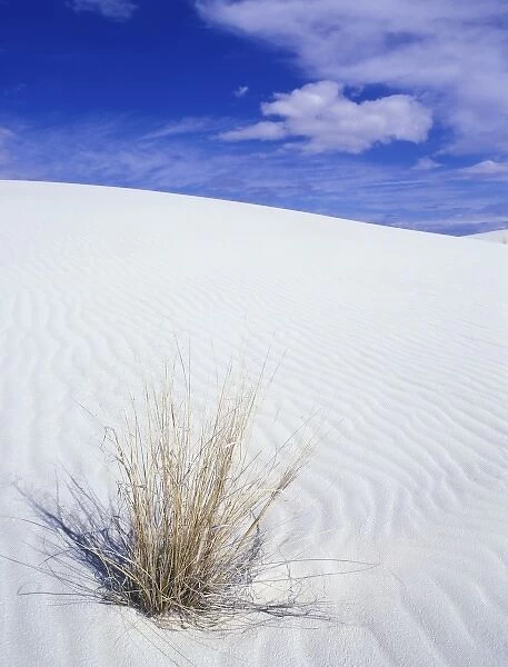USA, New Mexico, White Sands NM, White Sand Dune
