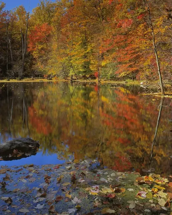 Framed Print : USA, New York, Adirondack Mountains, Autumn Pond, Putnam County