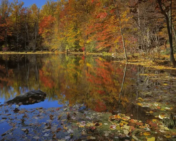 Framed Print : USA, New York, Adirondack Mountains, Autumn Pond, Putnam County Framed Print : USA, New York, Adirondack Mountains, Autumn Pond, Putnam County