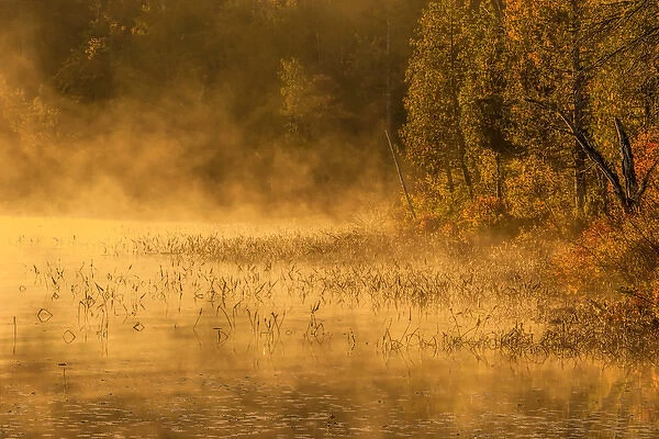 USA, New York, Adirondack Mountains. Morning mist on Raquette Lake