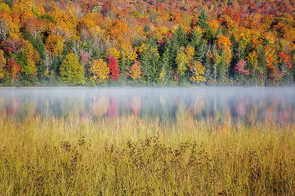 USA, New York, Adirondacks. Lake Placid, morning sun at Connery Pond