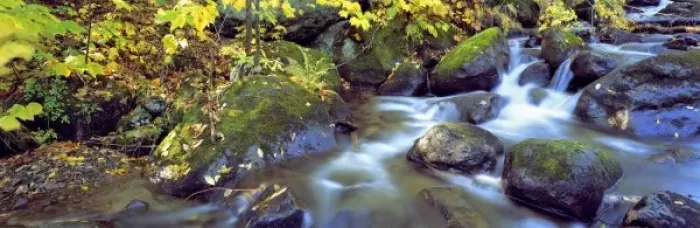 Framed Print : USA, New York, Catskill Mountains. A stream cascades through the forest in the Catskill