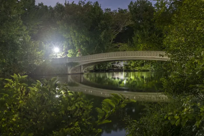 Framed Print : USA, New York. Central Park Framed Print : USA, New York. Central Park