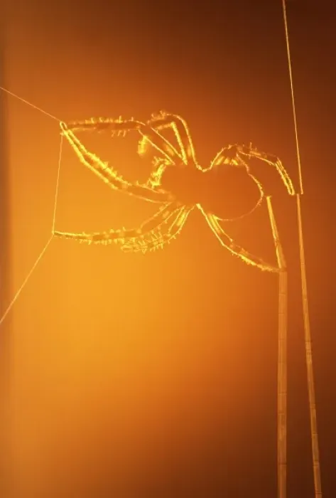 Framed Print : USA, New York, Inlet. Silhouette of spider spinning web at sunset