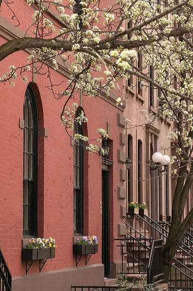 USA-New York-New York City-Brooklyn: Brooklyn Heights-Brownstone Building  /  Spring