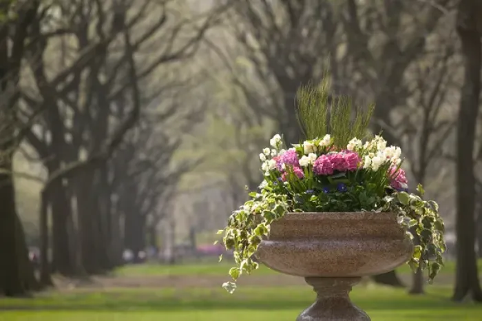 Framed Print : USA-New York-New York City-Manhattan: Central Park-Detail of The Mall  /  Springtime