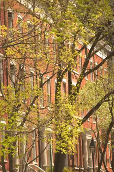 Framed Print : USA-New York-New York City-Manhattan: Greenwich Village-Washington Square North Brownstones Framed Print : USA-New York-New York City-Manhattan: Greenwich Village-Washington Square North Brownstones