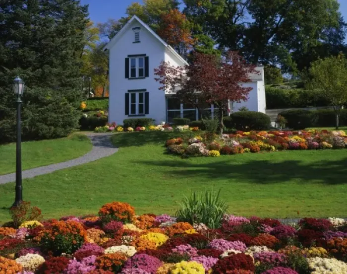 Framed Print : USA, New York, Saugerties. Chrysanthemums on display in front of house at Seamon Park Framed Print : USA, New York, Saugerties. Chrysanthemums on display in front of house at Seamon Park