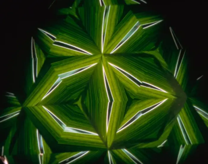 Framed Print : USA, New York, Slingerlands. A kaleidoscope turns iris leaves into abstract art. Credit as