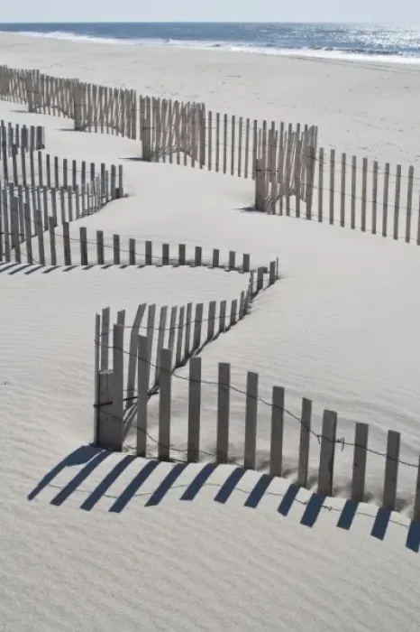 Framed Print : USA, New York, Southampton. Beach erosion fence, Westhampton Beach