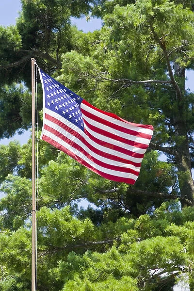USA, New York, St. Lawrence River. American flag on a flagpole waves against large tree