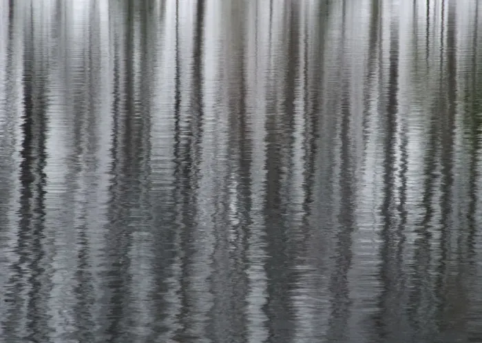 Framed Print : USA, New York State. Abstract reflection of winter trees Framed Print : USA, New York State. Abstract reflection of winter trees