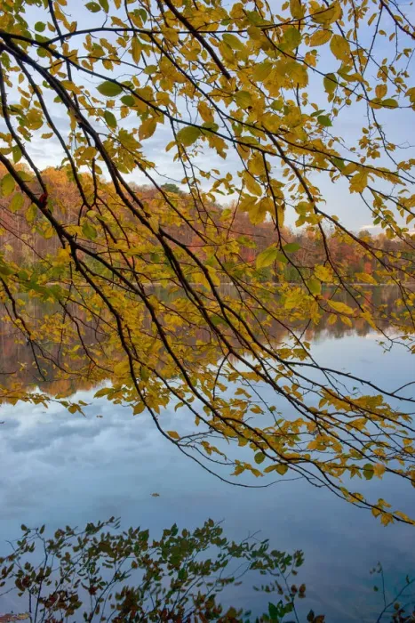 Framed Print : USA, New York State. Calm autumn morning on Green Lake Framed Print : USA, New York State. Calm autumn morning on Green Lake
