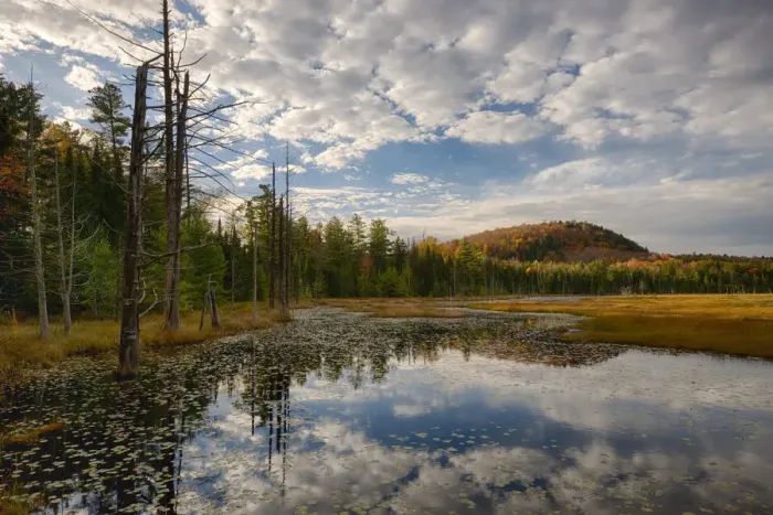 Framed Print : USA, New York State. Reflections in pond in autumn, Adirondack Mountains Framed Print : USA, New York State. Reflections in pond in autumn, Adirondack Mountains