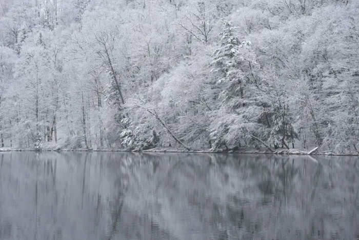 Framed Print : USA, New York State. Snow covered trees and reflection, Green Lakes State Park Framed Print : USA, New York State. Snow covered trees and reflection, Green Lakes State Park