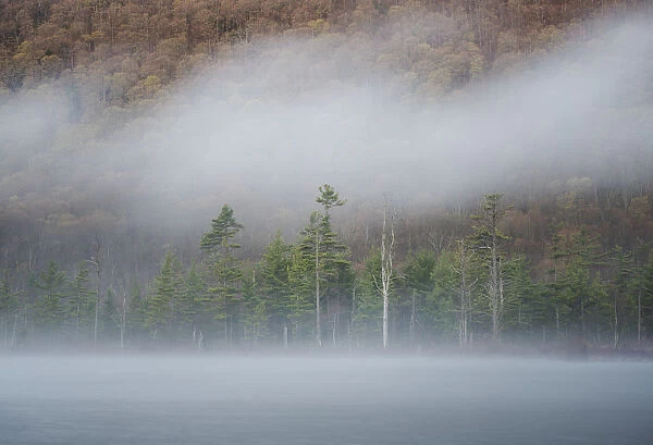 USA, New York State. Spring morning and mist on Labrador Pond