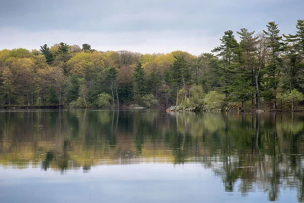 USA, New York State. Spring reflections, St. Lawrence River, Thousand Islands
