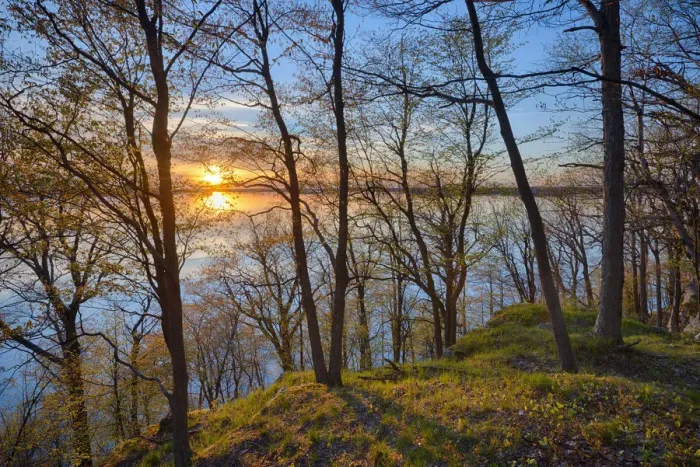 Framed Print : USA, New York State. Spring sunset through the trees, St. Lawrence River, Thousand Islands