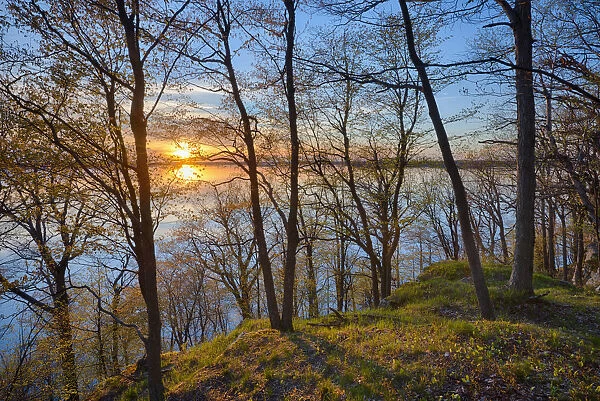 USA, New York State. Spring sunset through the trees, St. Lawrence River, Thousand Islands