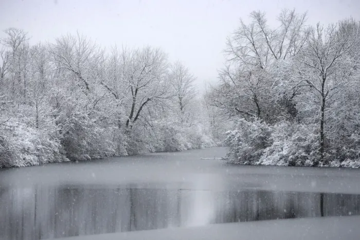 Framed Print : USA, New York State. Winter snowfall on the Erie Canal, Cedar Bay Park Framed Print : USA, New York State. Winter snowfall on the Erie Canal, Cedar Bay Park
