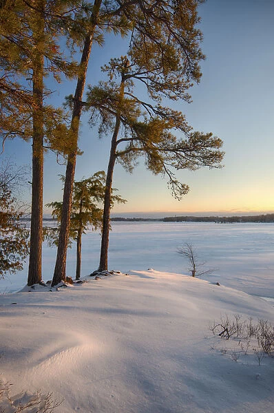 USA, New York State. Winter sunrise along the St. Lawrence River shoreline, Thousand Islands