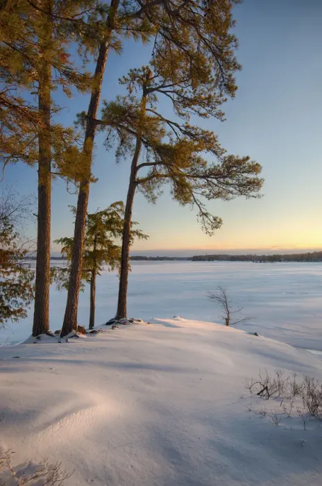 Framed Print : USA, New York State. Winter sunrise along the St. Lawrence River shoreline, Thousand Islands