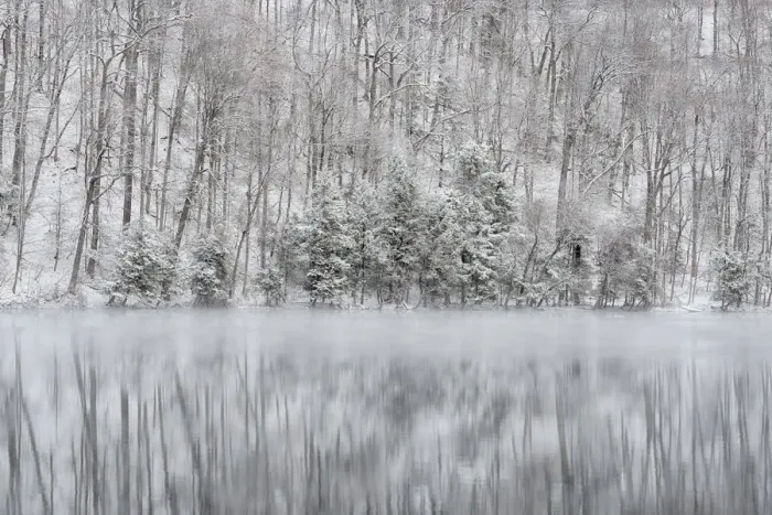Framed Print : USA, New York State. Winter trees reflected in Round Lake, Green Lakes State Park