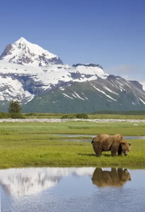 Framed Print : USA, North America, Alaska Framed Print : USA, North America, Alaska
