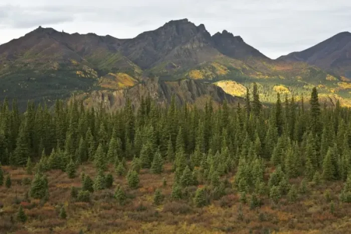 Framed Print : USA, North America, Alaska