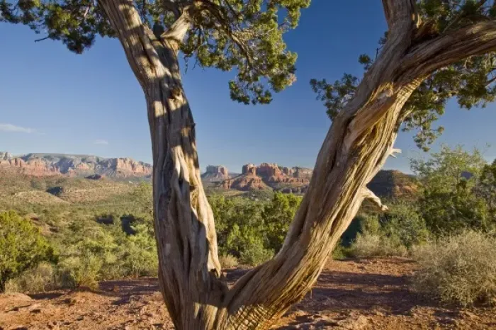 Framed Print : USA, North America, Arizona Framed Print : USA, North America, Arizona