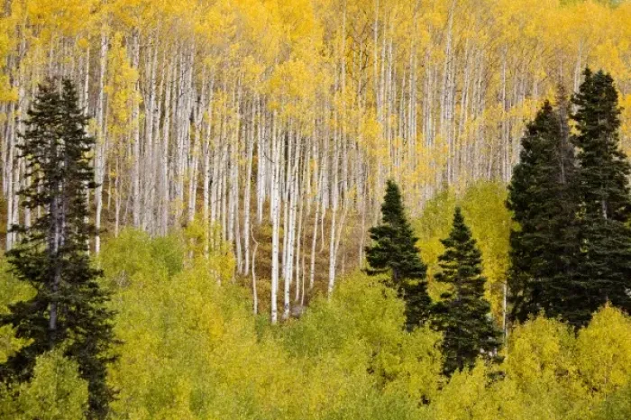 Framed Print : USA, North America, Colorado Framed Print : USA, North America, Colorado