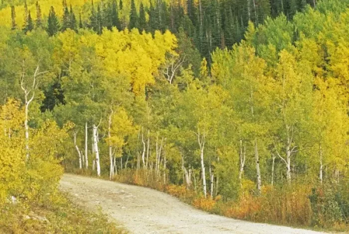 Framed Print : USA, North America, Colorado