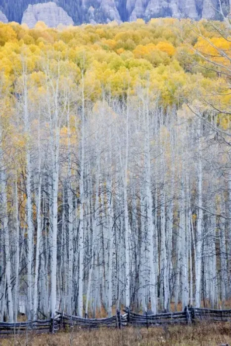 Framed Print : USA, North America, Colorado
