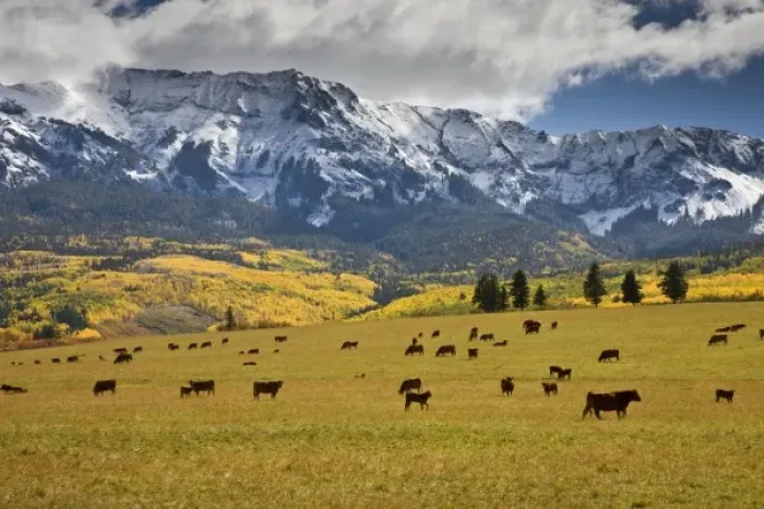 Framed Print : USA, North America, Colorado Framed Print : USA, North America, Colorado
