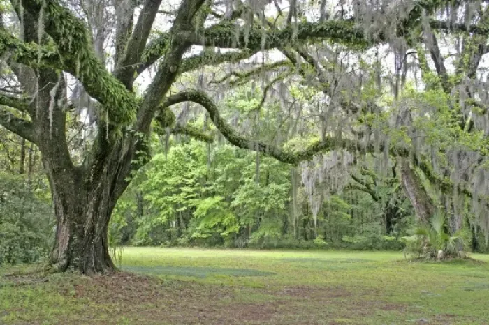 Framed Print : USA, North America, Florida Framed Print : USA, North America, Florida
