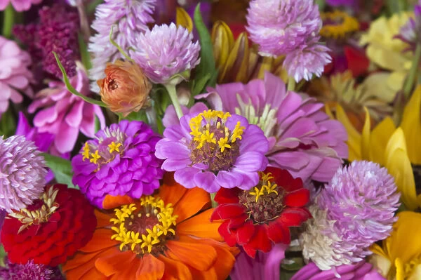 USA; North America; Georgia; Savannah; Bouquet of colorful at a Farmers Market