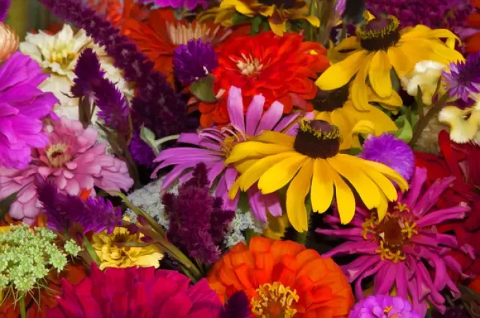 Framed Print : USA; North America; Georgia; Savannah; Bouquet of colorful flowers at market. (PR)