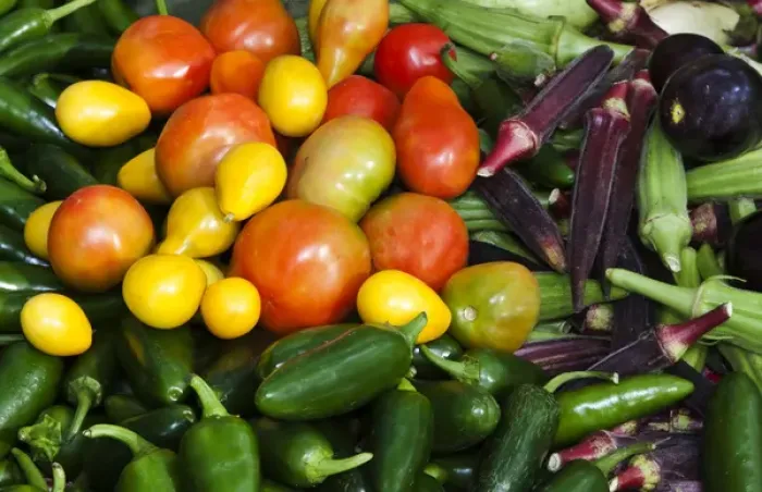 Framed Print : USA; North America; Georgia; Savannah; Fresh organic vegetables at a Farmers Market