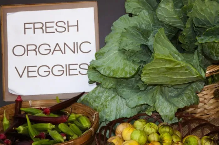 Framed Print : USA; North America; Georgia; Savannah; Fresh organic vegetables at a Farmers Market