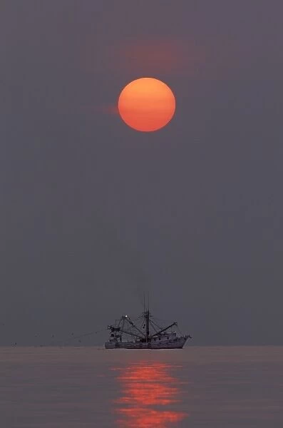 USA, North America, Georgia, Tybee Island. A shrimp boat trawling for shrimp at sunrise