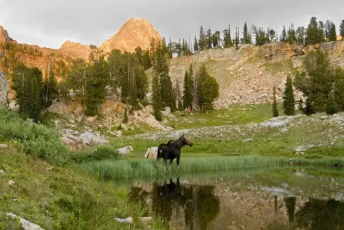 Framed Print : USA, North America, Idaho