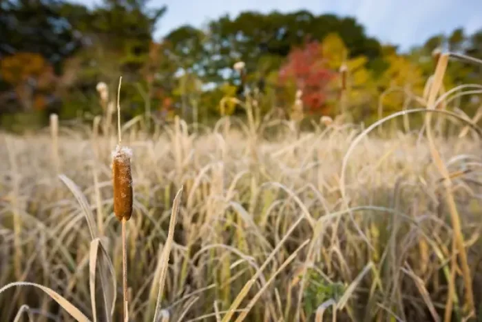 Framed Print : USA, North America, Maine Framed Print : USA, North America, Maine