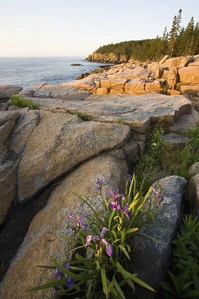 USA, North America, Maine