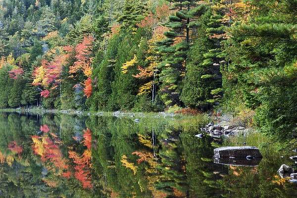 USA; North America, Maine; Acadia National Park; Fall reflections at Bubble Pond