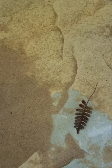 Framed Print : USA, North America, Michigan Framed Print : USA, North America, Michigan