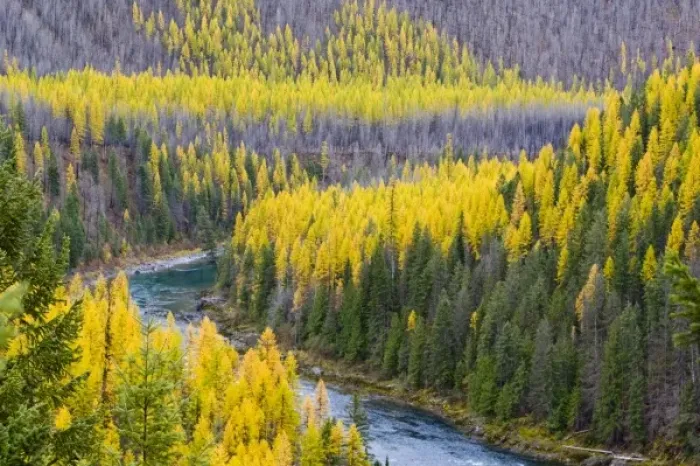 Framed Print : USA, North America, Montana
